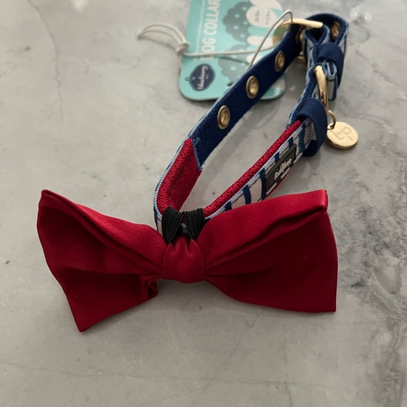 Dog collar - Picture 4 of 4